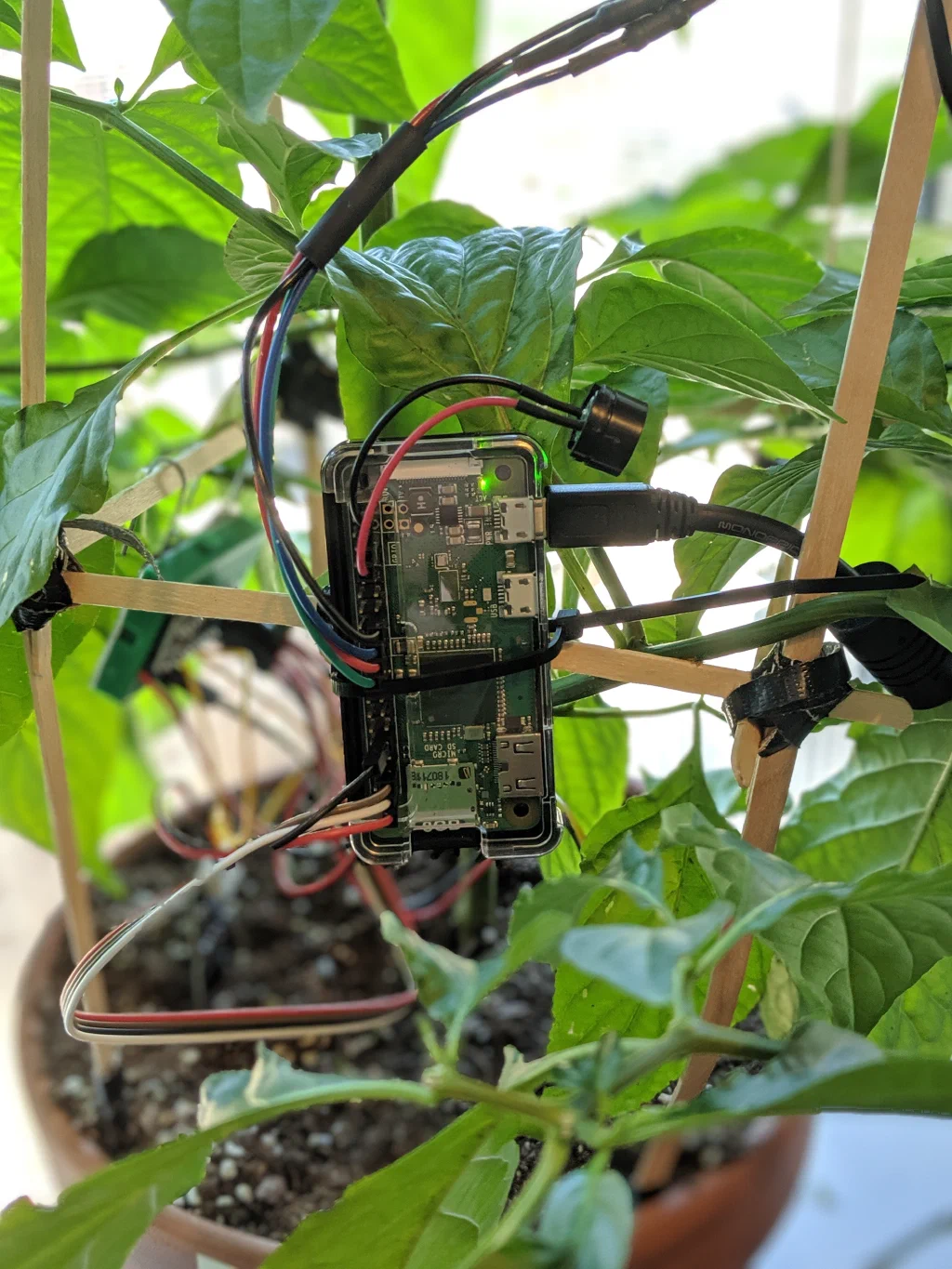Raspberry Pi Zero